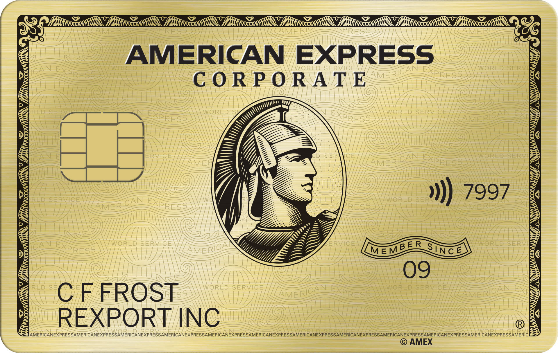 American Express Credit Card 