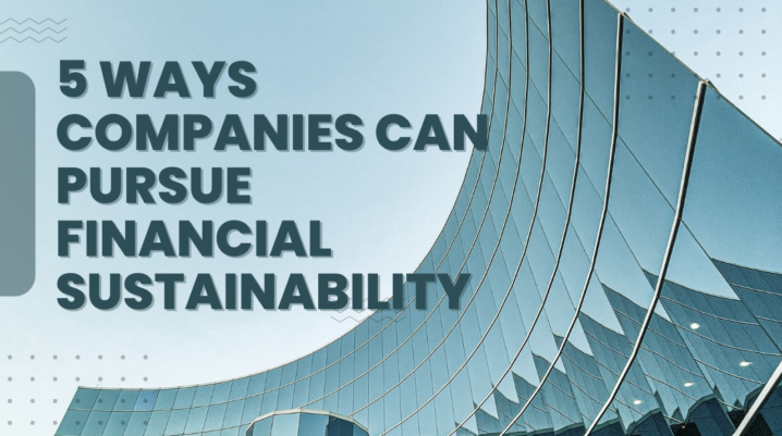 Companies Can Pursue Financial Sustainability